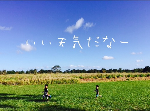 f:id:oyaco_blog:20160910074432j:image f:id:oyaco_blog:20160910074432j:image