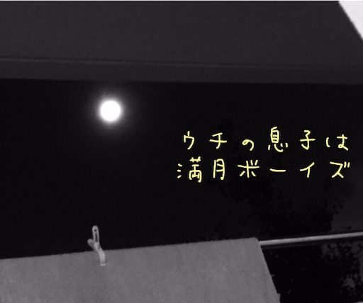 f:id:oyaco_blog:20160926230502j:image f:id:oyaco_blog:20160926230502j:image