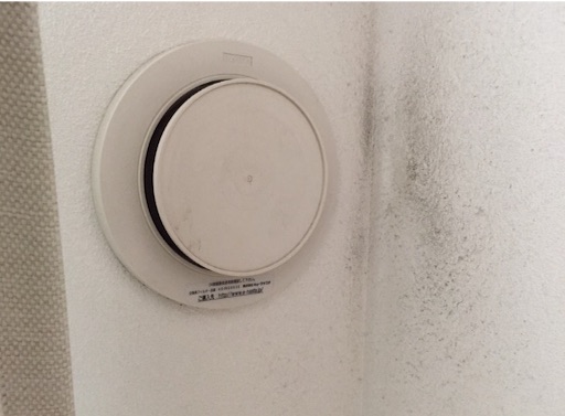 f:id:oyaco_blog:20160928083921j:image f:id:oyaco_blog:20160928083921j:image