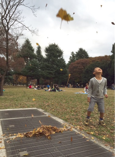 子出かけ 代々木公園の紅葉狩りで 子どもが喜ぶ落ち葉遊び おやこぶろ