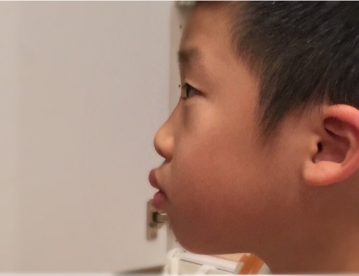 f:id:oyaco_blog:20161205212715j:image f:id:oyaco_blog:20161205212715j:image