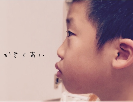 f:id:oyaco_blog:20161205213219j:image f:id:oyaco_blog:20161205213219j:image