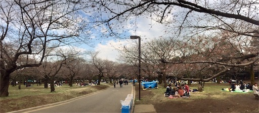 f:id:oyaco_blog:20170328164949j:image f:id:oyaco_blog:20170328164949j:image