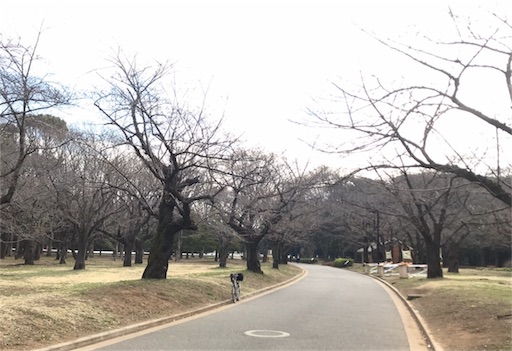 f:id:oyaco_blog:20190319092354j:image f:id:oyaco_blog:20190319092354j:image