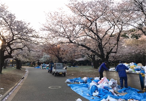 f:id:oyaco_blog:20190319092522j:image f:id:oyaco_blog:20190319092522j:image