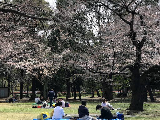 f:id:oyaco_blog:20190322201029j:image f:id:oyaco_blog:20190322201029j:image