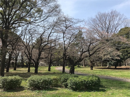 f:id:oyaco_blog:20190322201140j:image f:id:oyaco_blog:20190322201140j:image