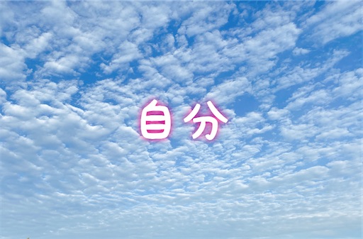 f:id:oyaco_blog:20201027144635j:image f:id:oyaco_blog:20201027144635j:image