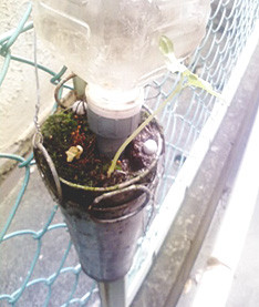 f:id:oyadge01:20100714111307j:image