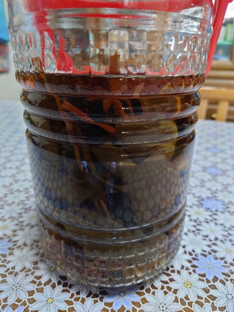 f:id:oyaji69:20231217073036j:image