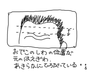育毛 効果があるのはどれだ 育毛剤を調べてみた 耐えて忍がおやじ道