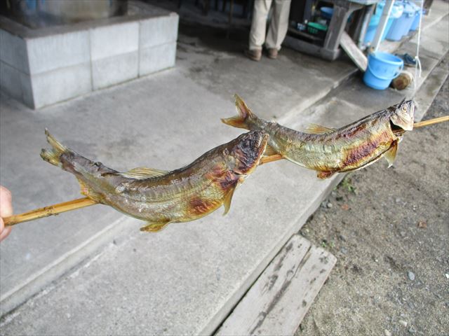 イメージ 7