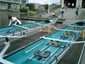20101127150609