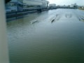 20111224131448