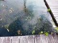 20160810141237