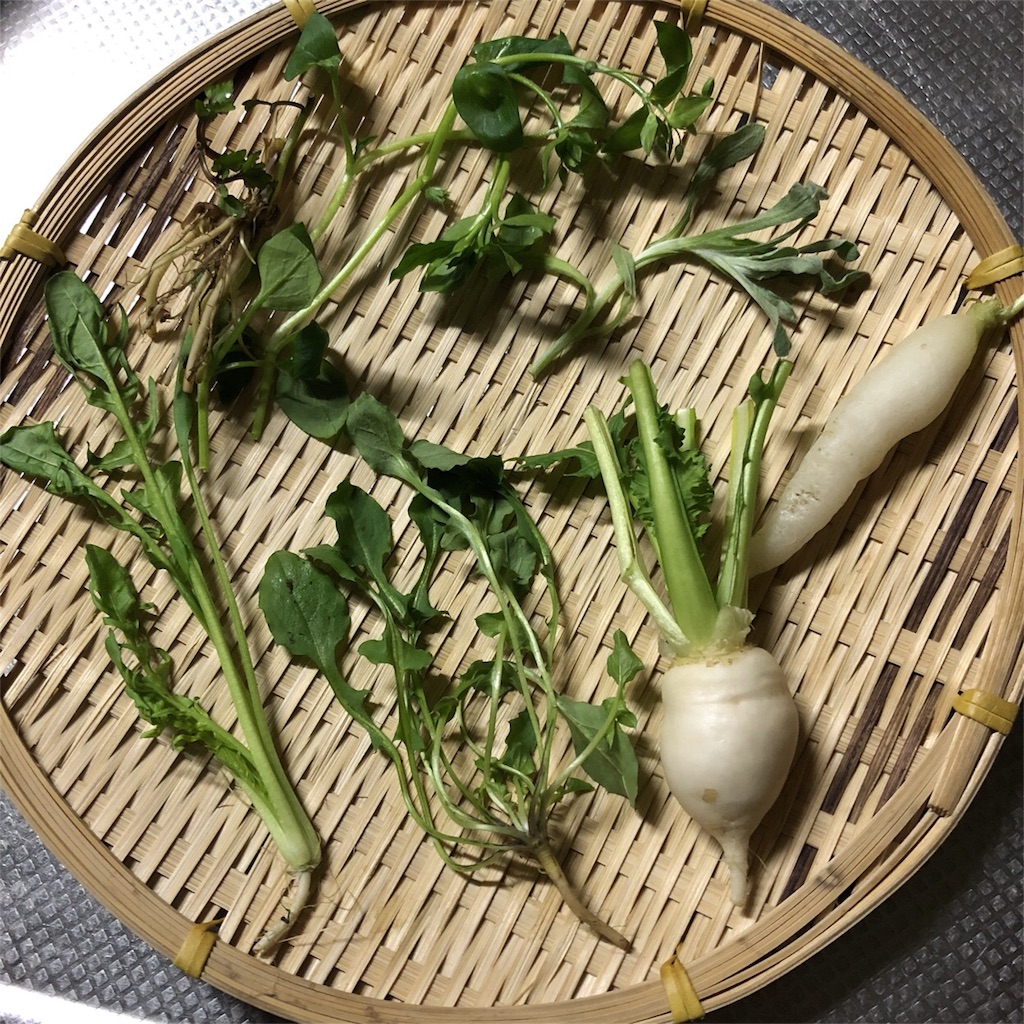 f:id:oyako-kitchen268:20180107191405j:image