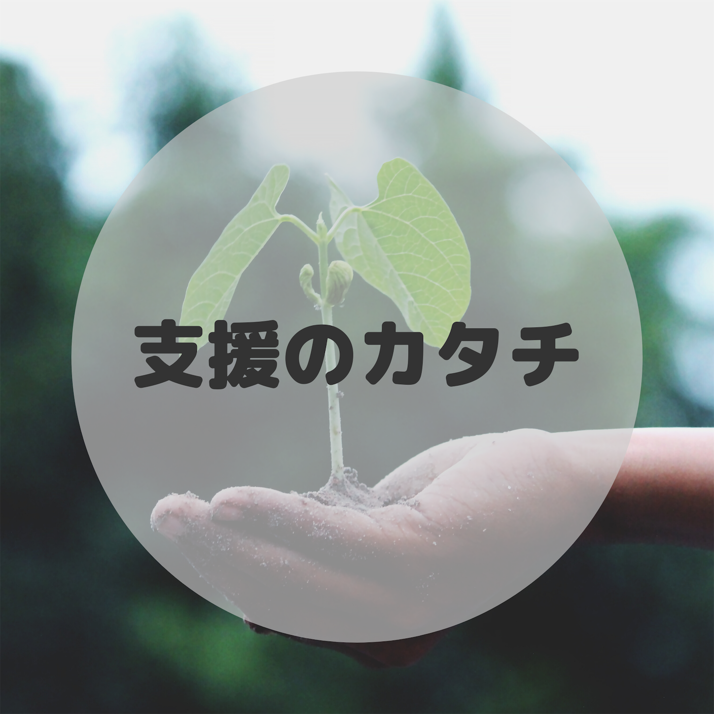 f:id:oyakoasobikariyusi:20200708042430p:image f:id:oyakoasobikariyusi:20200708042430p:image