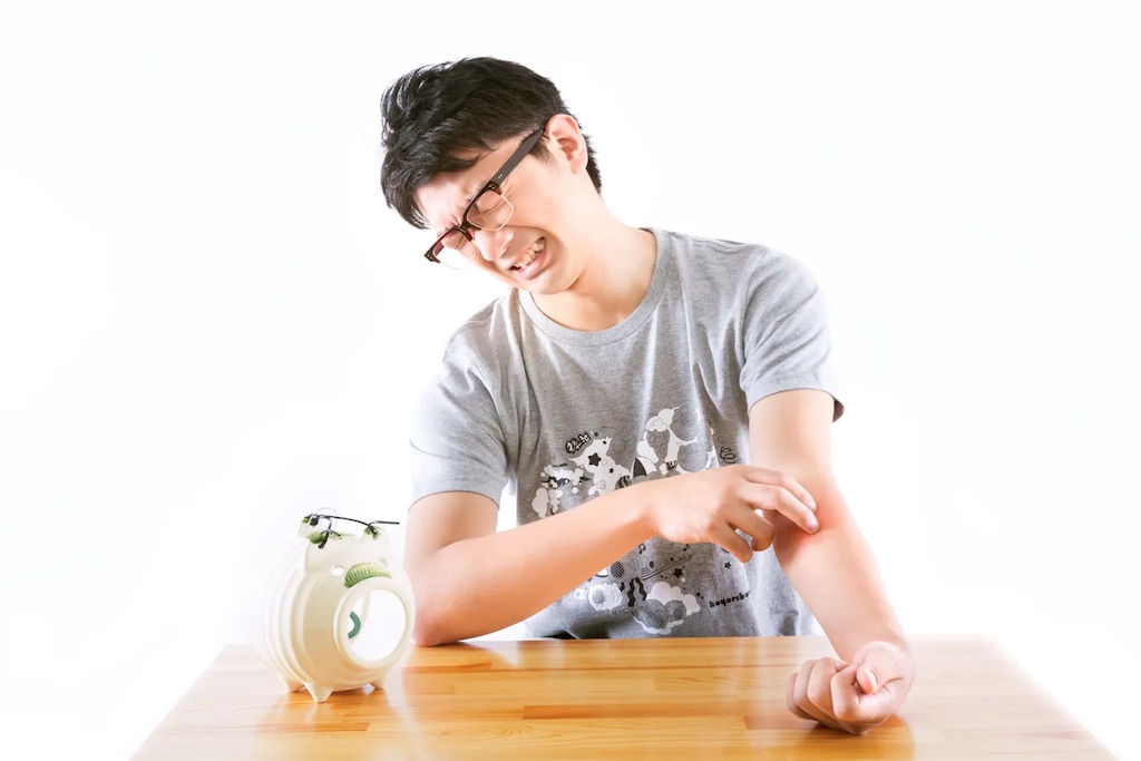 f:id:oyakodeeigo:20230129200755j:image f:id:oyakodeeigo:20230129200755j:image