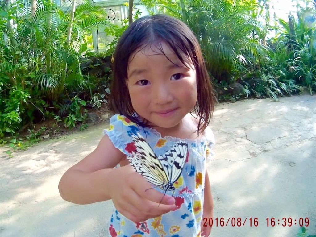 f:id:oyakoenglish:20210805000926j:image f:id:oyakoenglish:20210805000926j:image