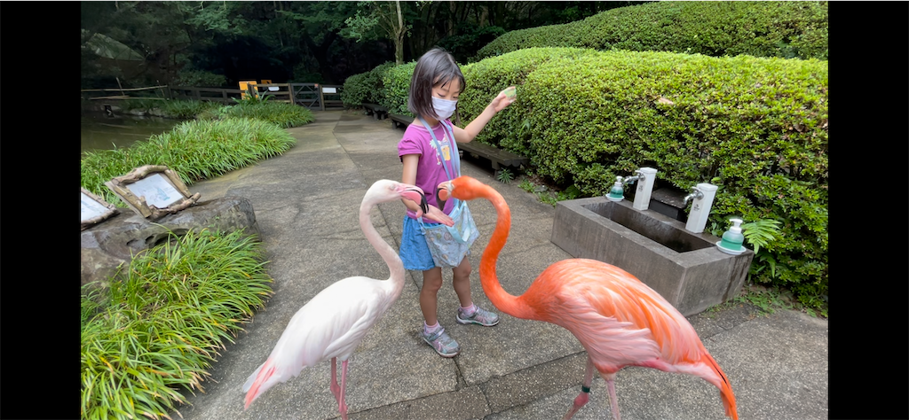 f:id:oyakoenglish:20210805012824p:image f:id:oyakoenglish:20210805012824p:image