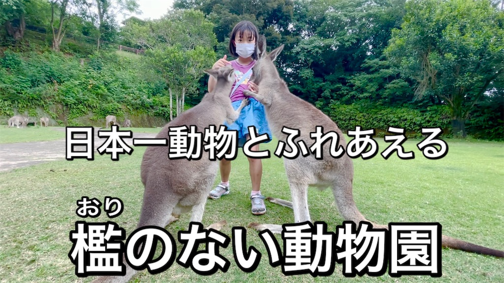f:id:oyakoenglish:20220125011220j:image f:id:oyakoenglish:20220125011220j:image