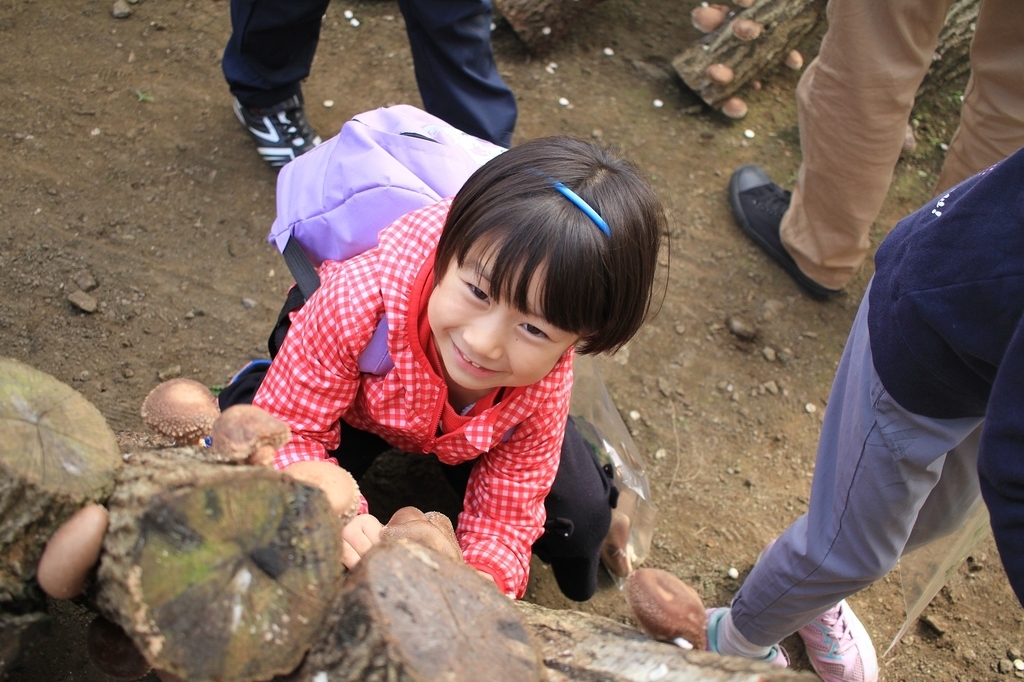 夢中になって採っています