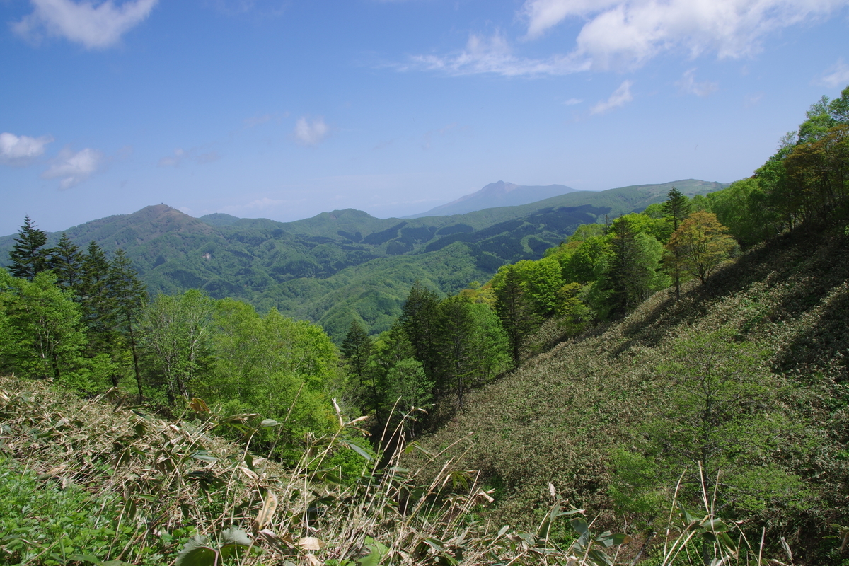 f:id:oyakoneko195003:20210526201051j:plain