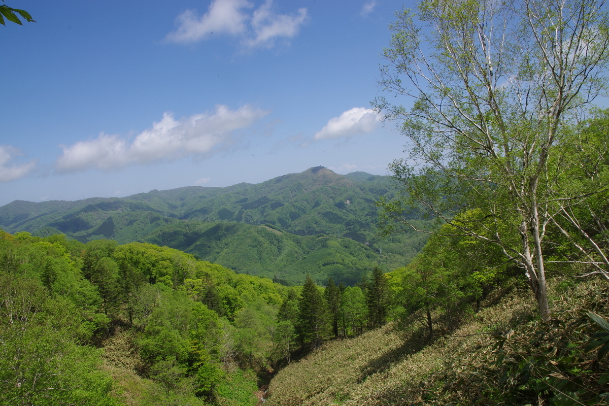 f:id:oyakoneko195003:20210526201129j:plain