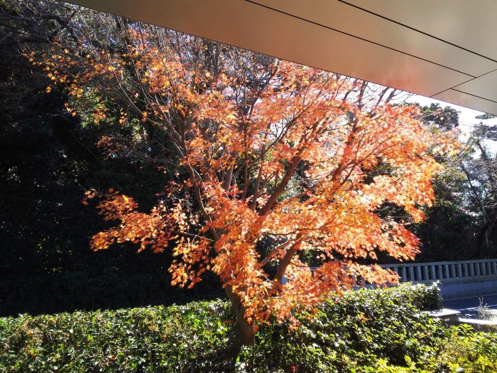 f:id:oyamadoka:20161223212857j:plain
