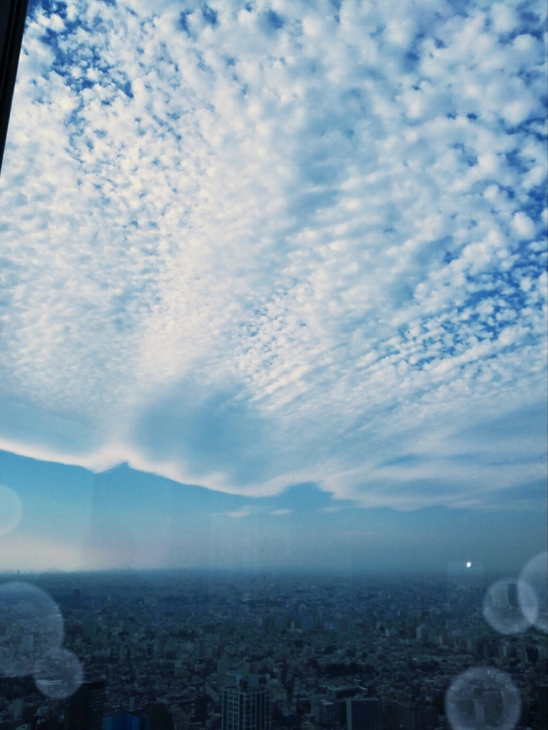 f:id:oyamadoka:20171101205849j:plain