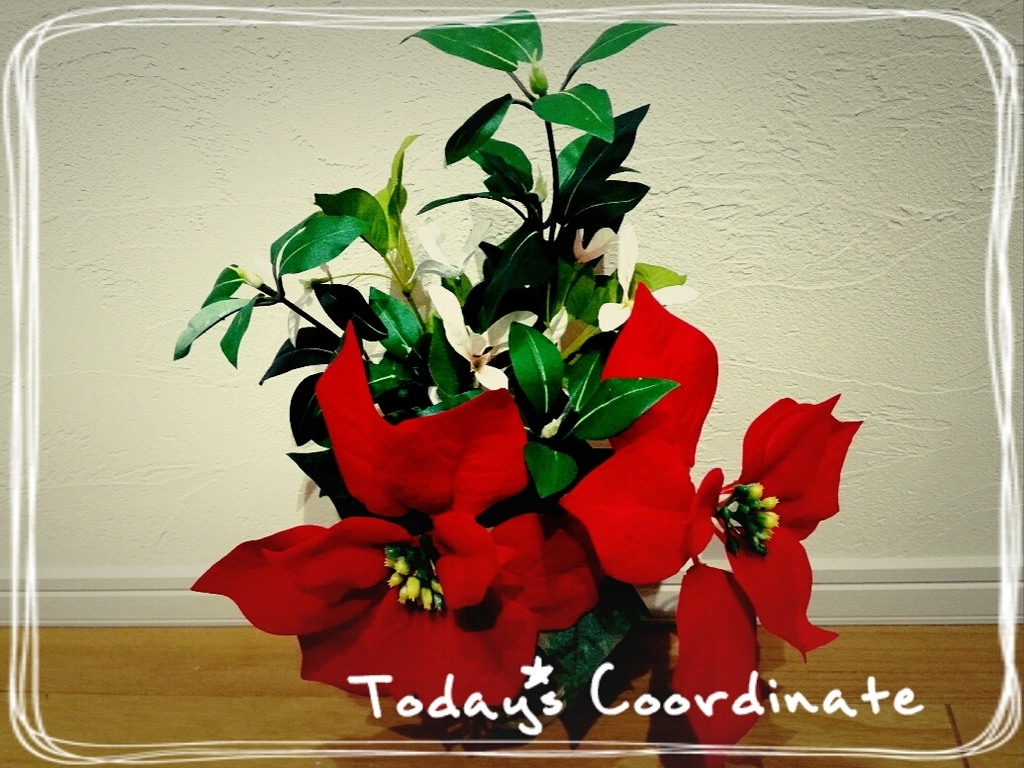f:id:oyamadoka:20181225153459j:plain