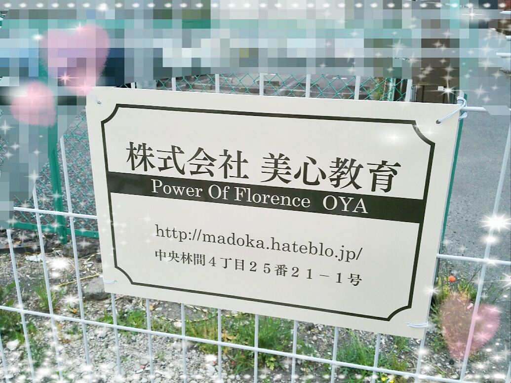 f:id:oyamadoka:20190701234520j:plain