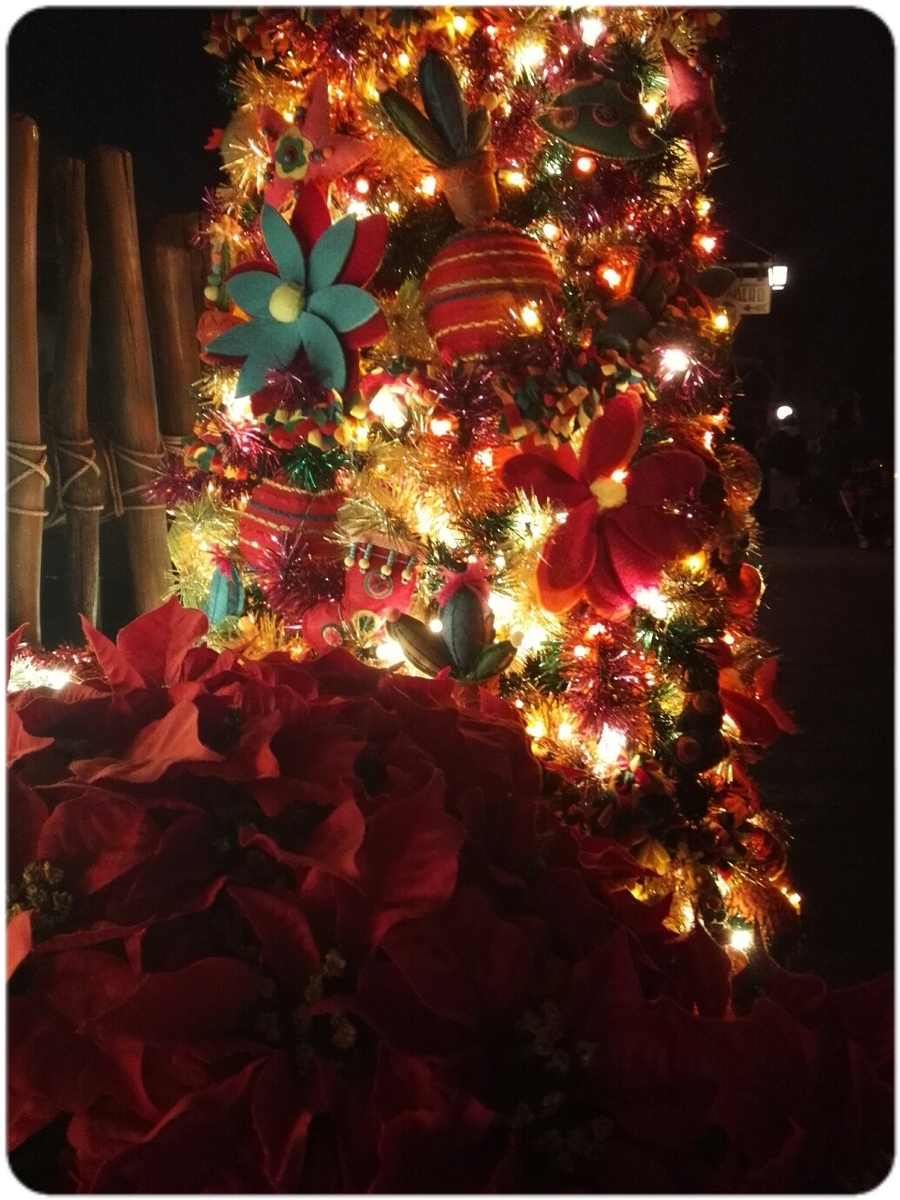 f:id:oyamadoka:20191122014406j:plain