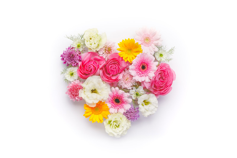 f:id:oyamadoka:20200220014445j:plain
