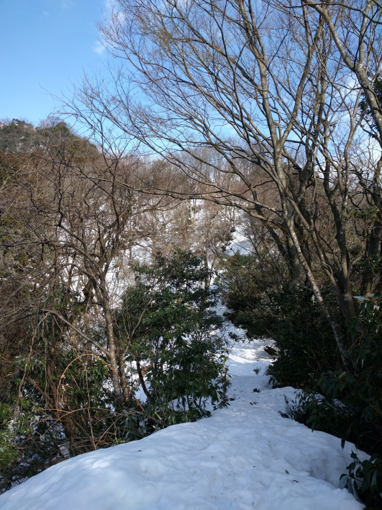 f:id:oyamanobori:20170219140643j:plain
