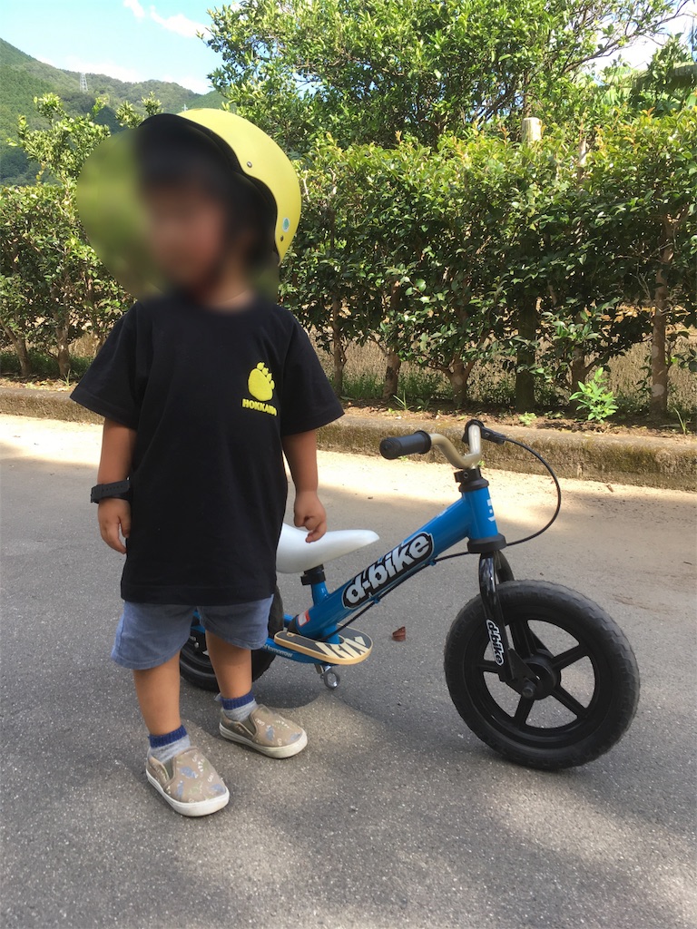 f:id:oyamapan:20180905152200j:image