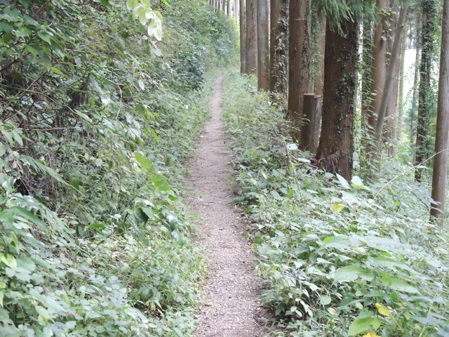 金剛の滝遊歩道