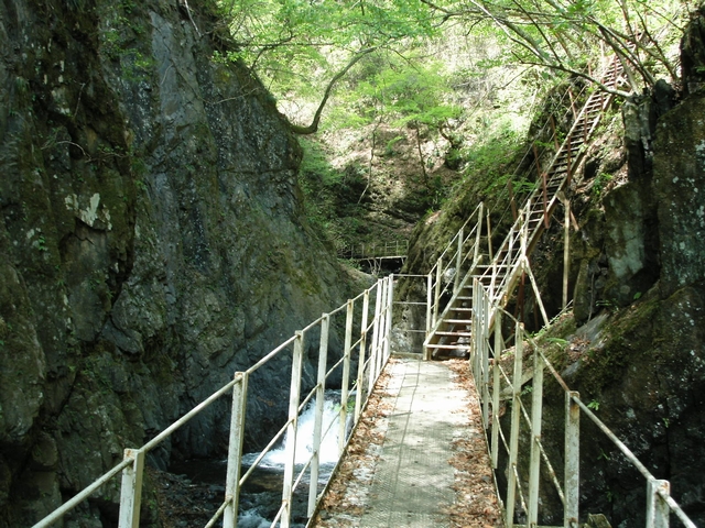 妙蓮の滝の遊歩道
