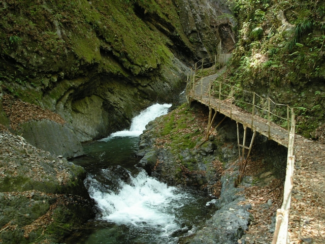 妙蓮の滝の遊歩道