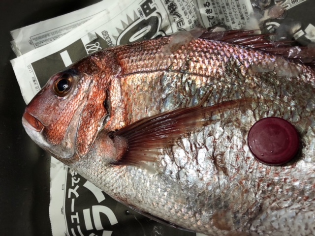 f:id:oyasumiameko:20180701074932j:plain f:id:oyasumiameko:20180701074932j:plain