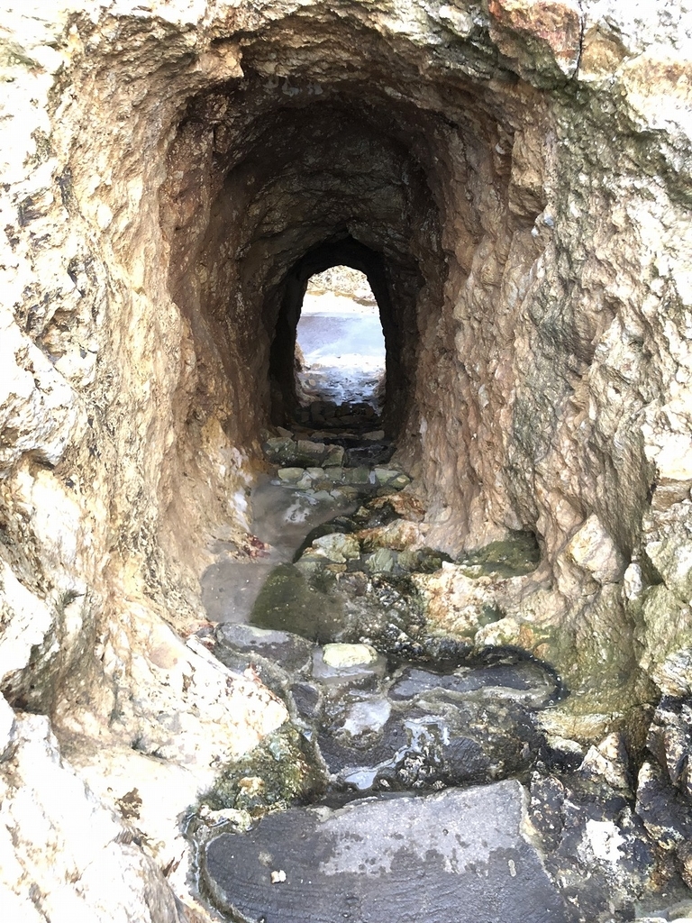 f:id:oyasumiameko:20180915192649j:plain