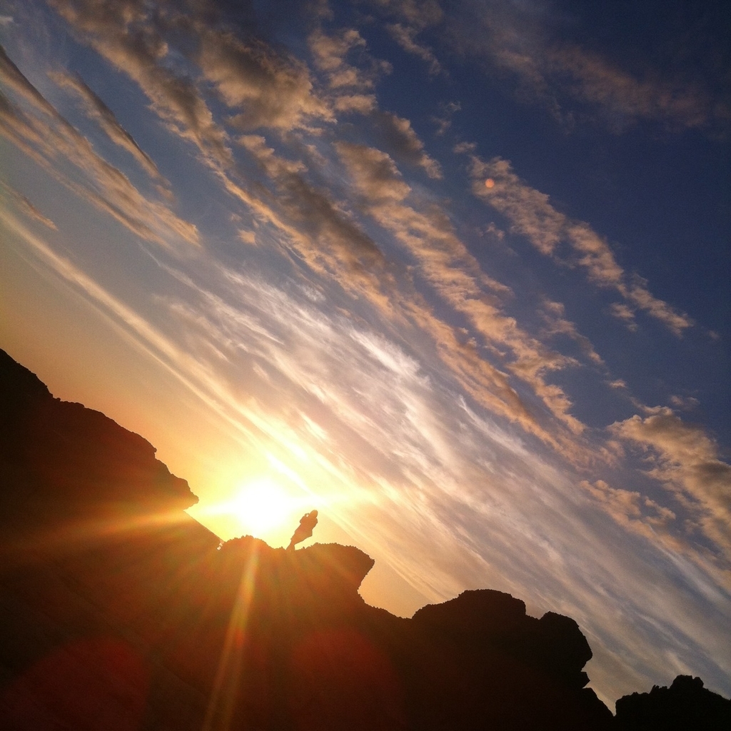 f:id:oyasumiameko:20180915194857j:plain