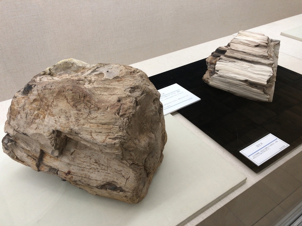 f:id:oyasumiameko:20181002180904j:plain