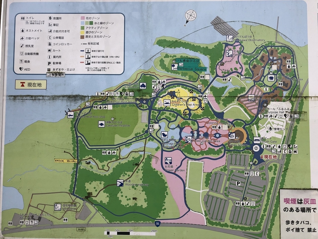 f:id:oyasumiameko:20190109191456j:plain