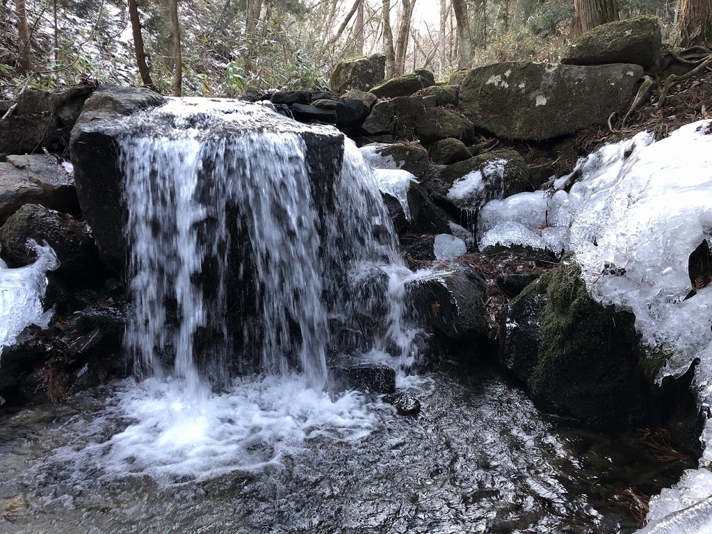 f:id:oyasumiameko:20190116190901j:plain