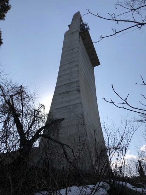 f:id:oyasumiameko:20190321122259j:plain