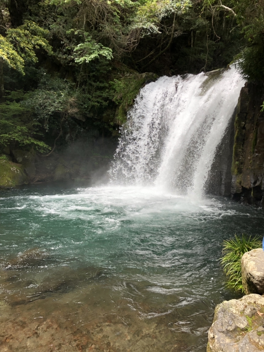 f:id:oyasumiameko:20190526190836j:plain