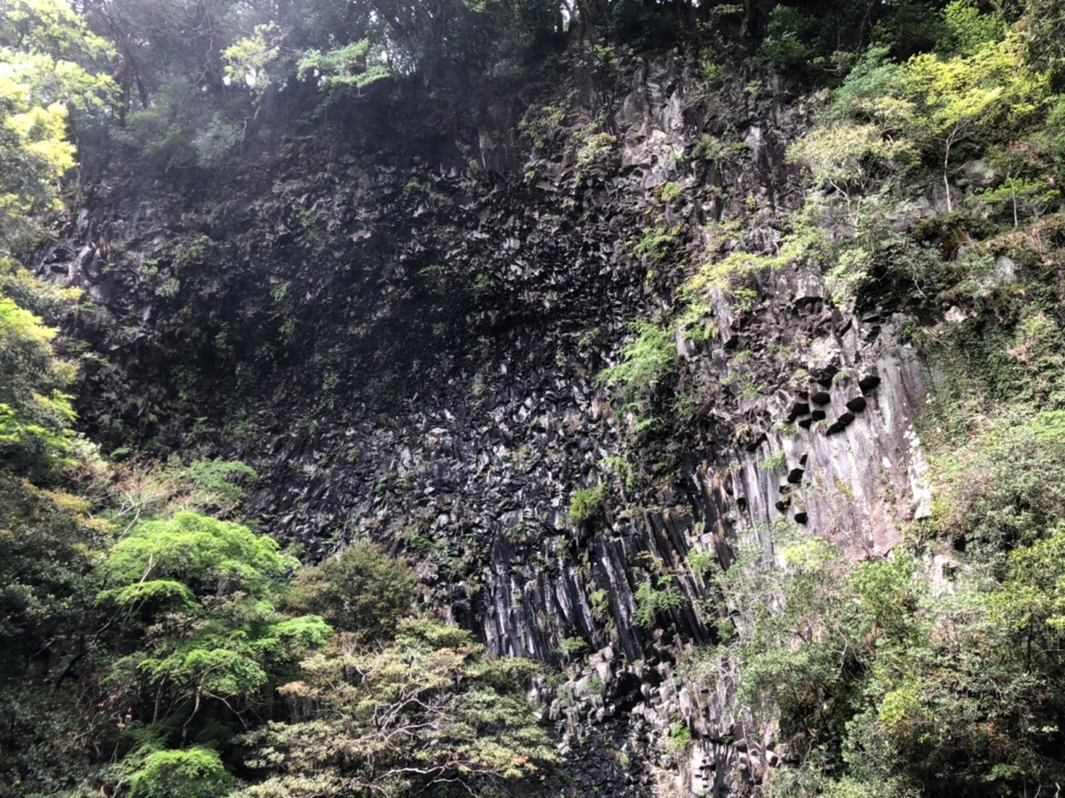 f:id:oyasumiameko:20190526192516j:plain