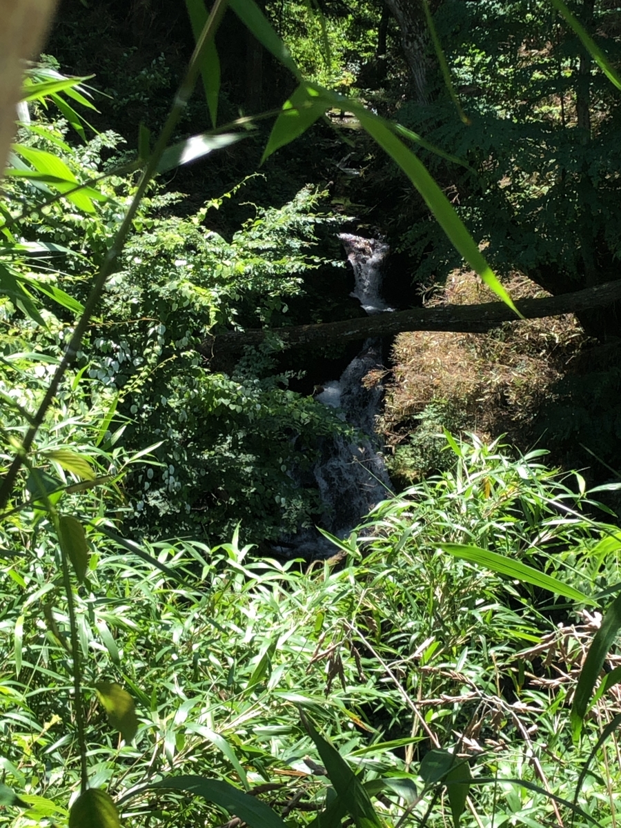 f:id:oyasumiameko:20190712151013j:plain f:id:oyasumiameko:20190712151013j:plain