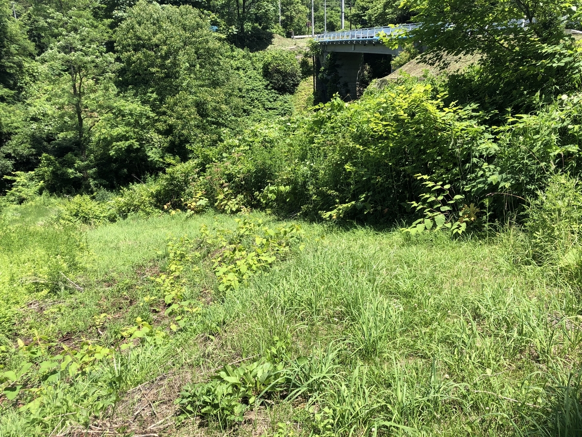 f:id:oyasumiameko:20190712151428j:plain f:id:oyasumiameko:20190712151428j:plain